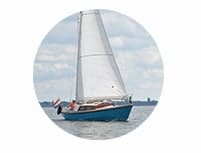 Koenegroene_icon